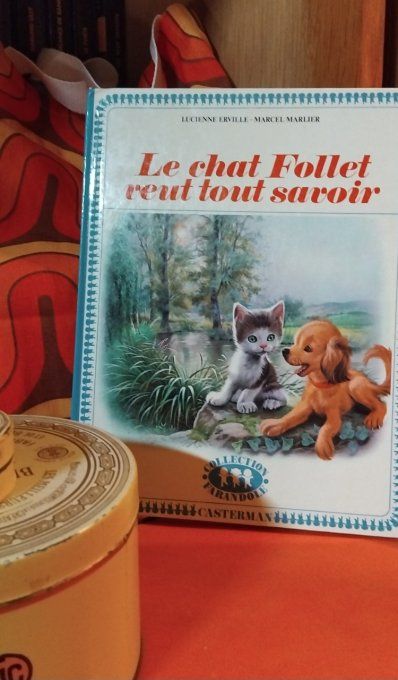 Le chat Follet veut tout savoir