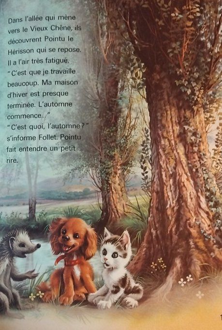 Le chat Follet veut tout savoir