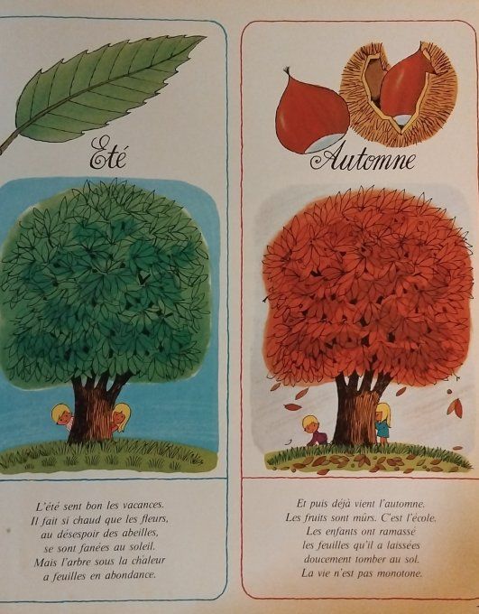 Petit Tom et son ami l'arbre