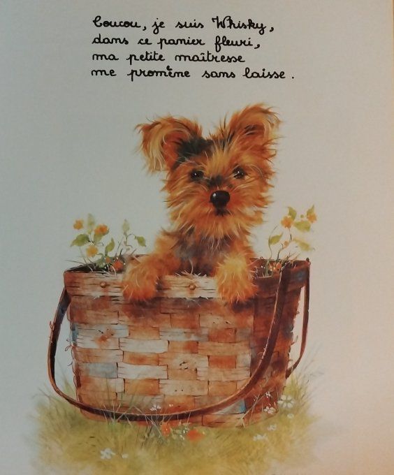 Entre chats et chiens