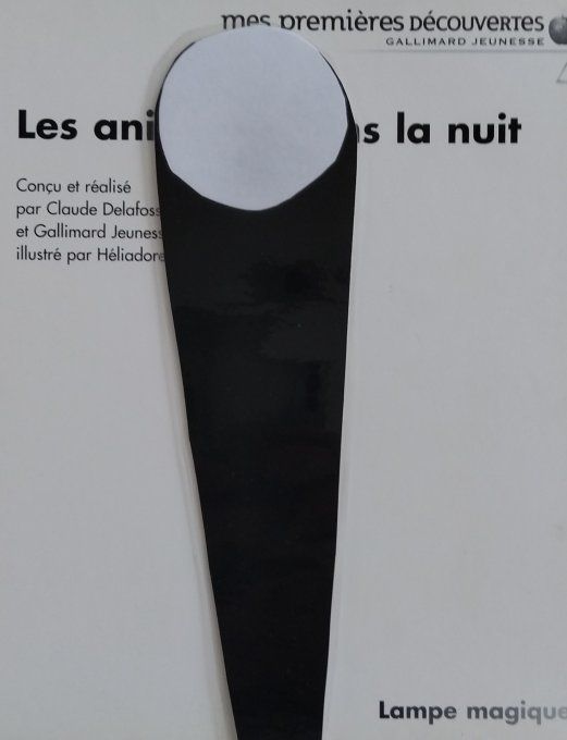 Les animaux dans la nuit