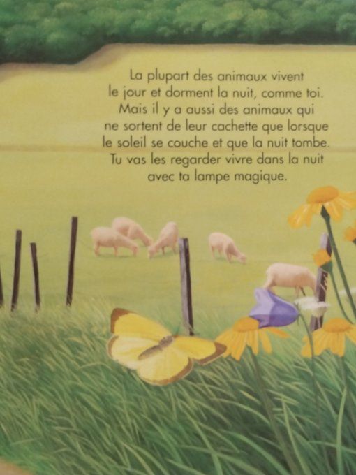 Les animaux dans la nuit