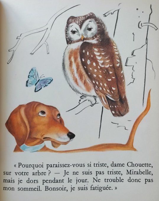 Mirabelle au bois