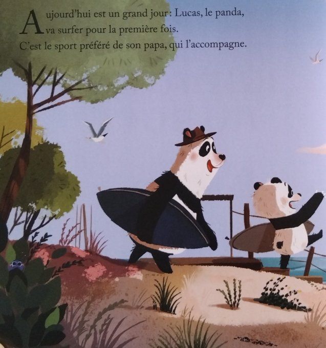 Initiation au surf
