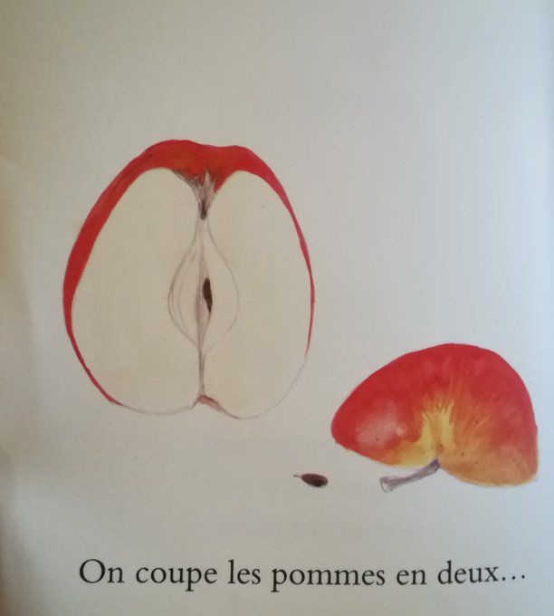 J'aime les pommes