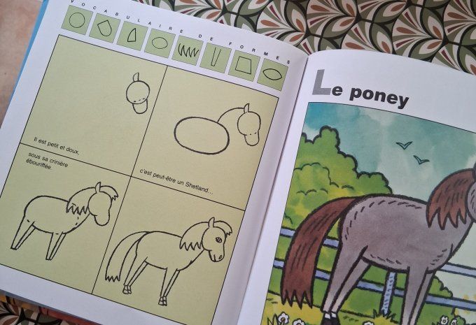 J'apprends à dessiner chevaux et poneys