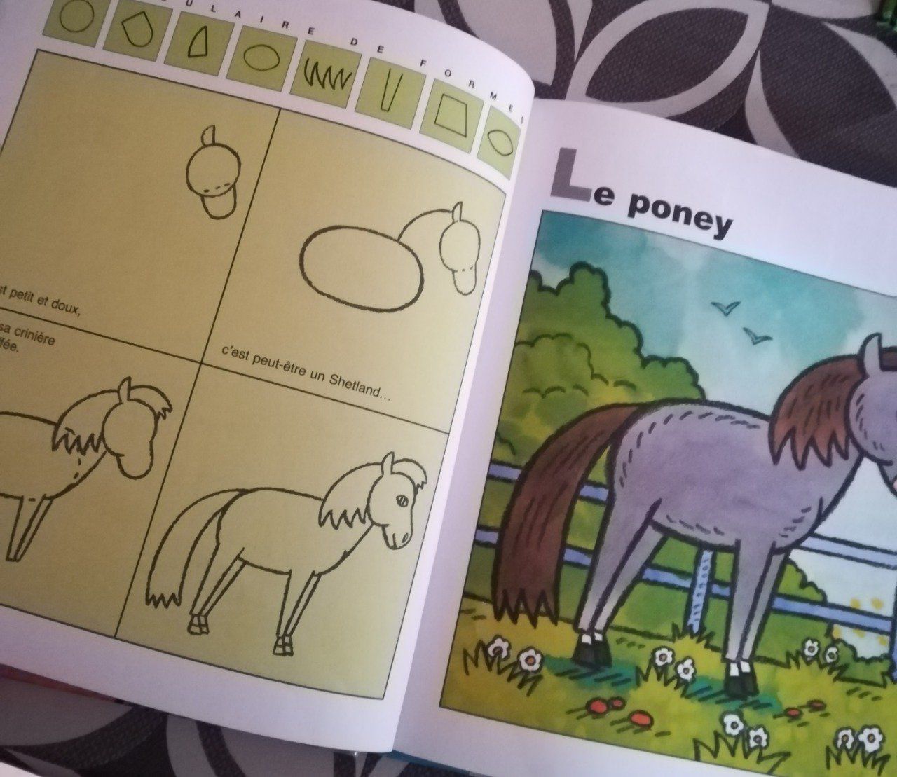 Dessiner chevaux et poneys