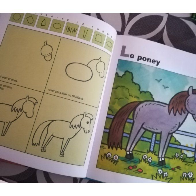 J'apprends à dessiner chevaux et poneys
