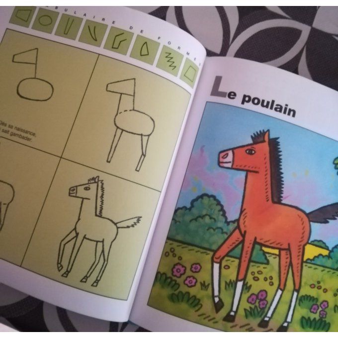 J'apprends à dessiner chevaux et poneys