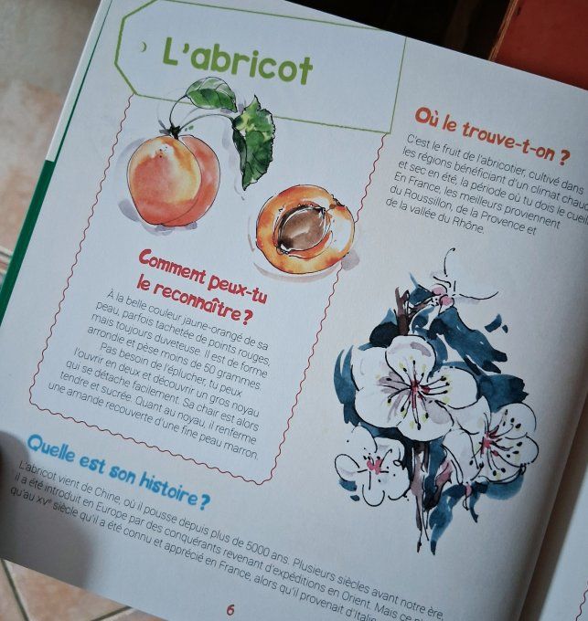 Je découvre les fruits et j'apprends à les reconnaître