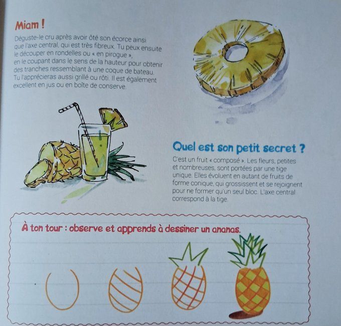 Je découvre les fruits et j'apprends à les reconnaître
