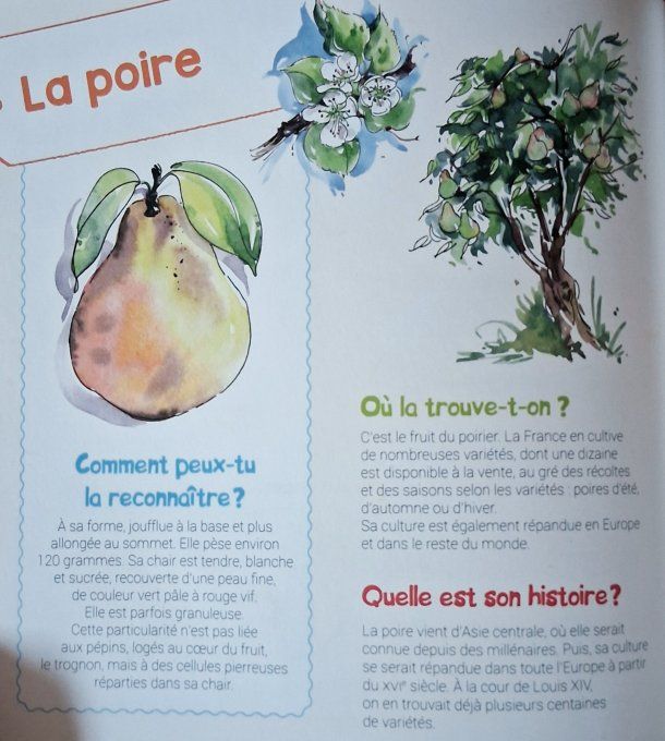 Je découvre les fruits et j'apprends à les reconnaître