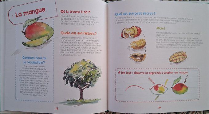 Je découvre les fruits et j'apprends à les reconnaître