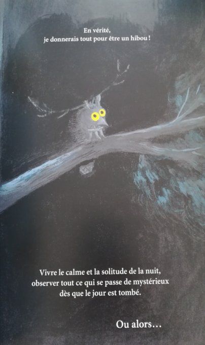 J'aurais voulu