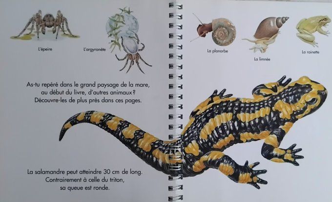 J'explore la mare