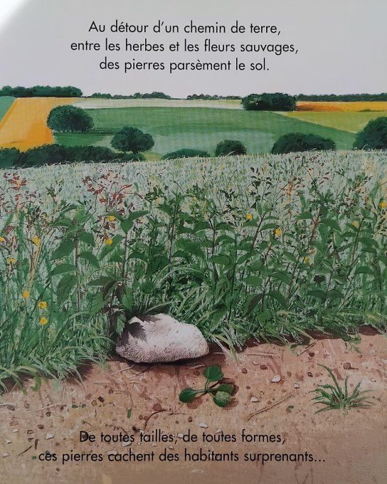 J'explore sous la pierre