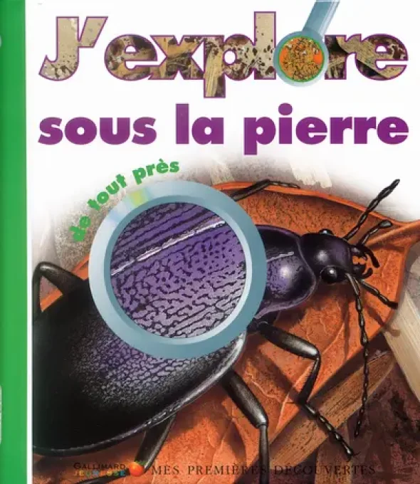 J'explore sous la pierre