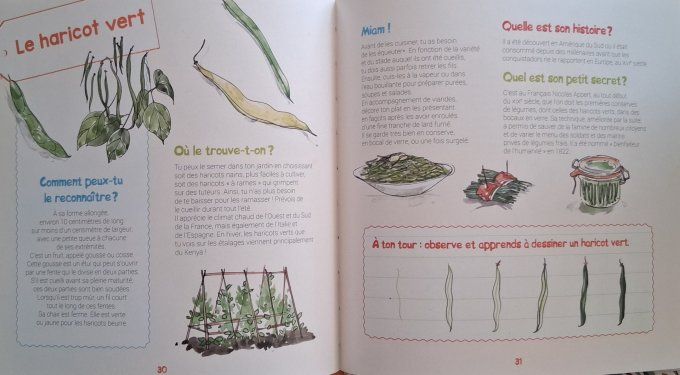 Je découvre les légumes et j'apprends à les reconnaître