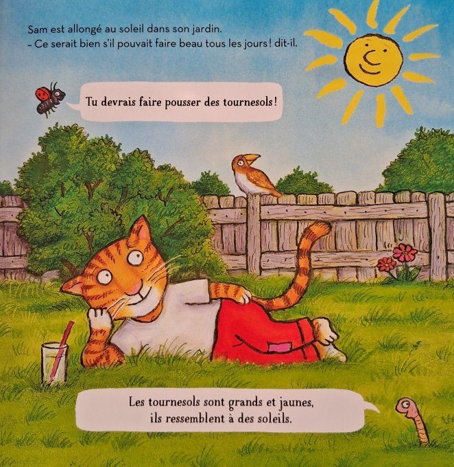 Je plante un tournesol