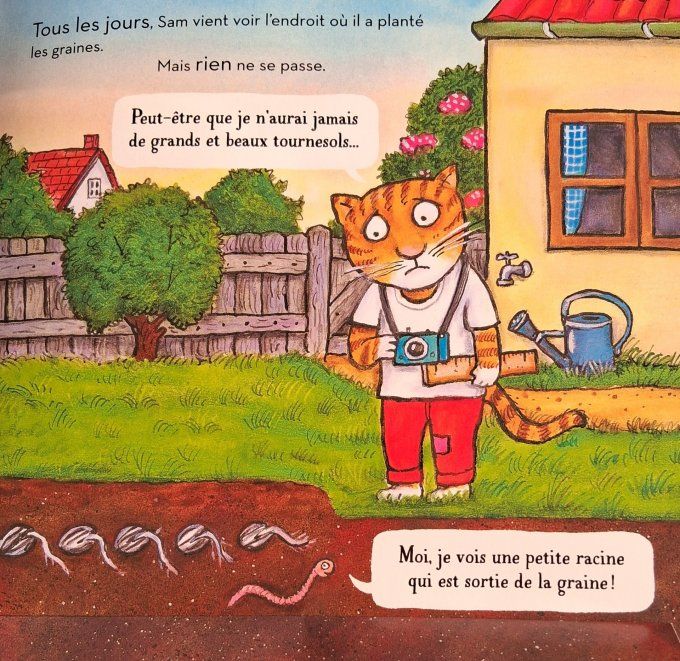 Je plante un tournesol