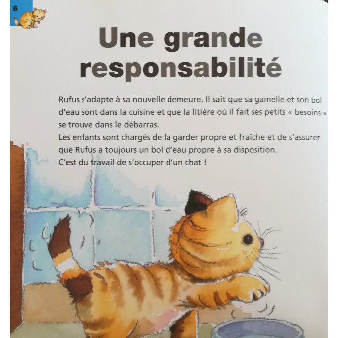 Je prends soin de notre nouveau chat