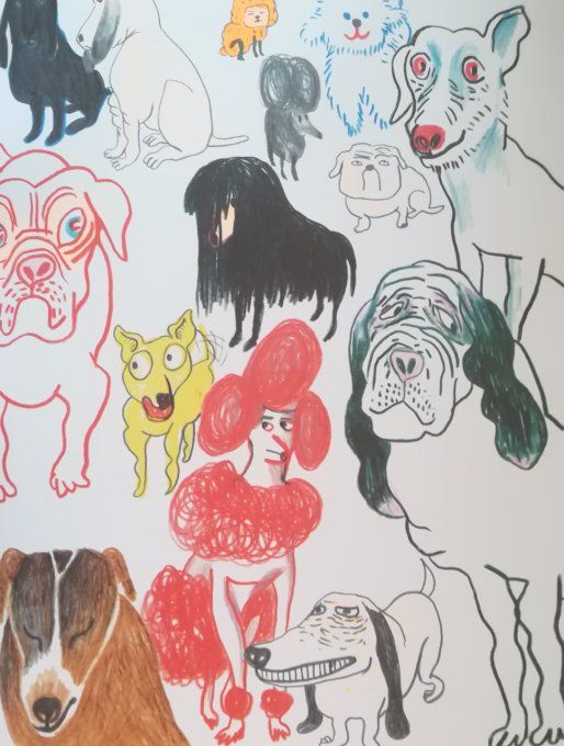 Je veux un chien, et peu importe lequel