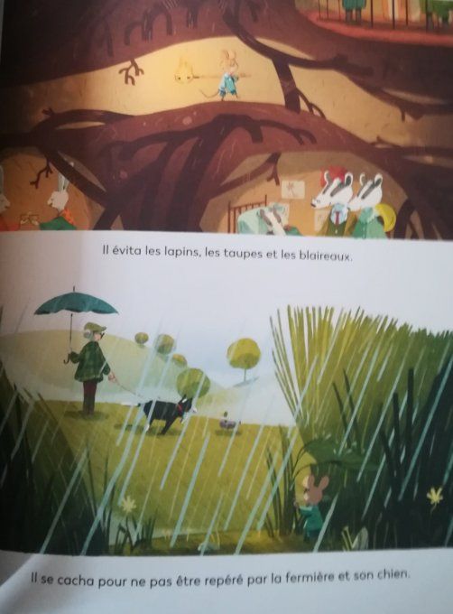Jules et le renard