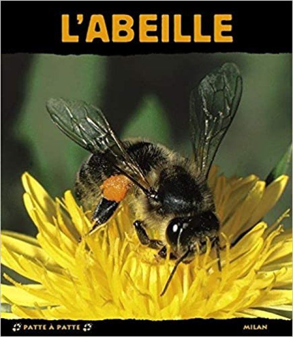 L'abeille