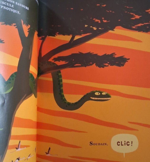 L'animal le plus dangereux du monde