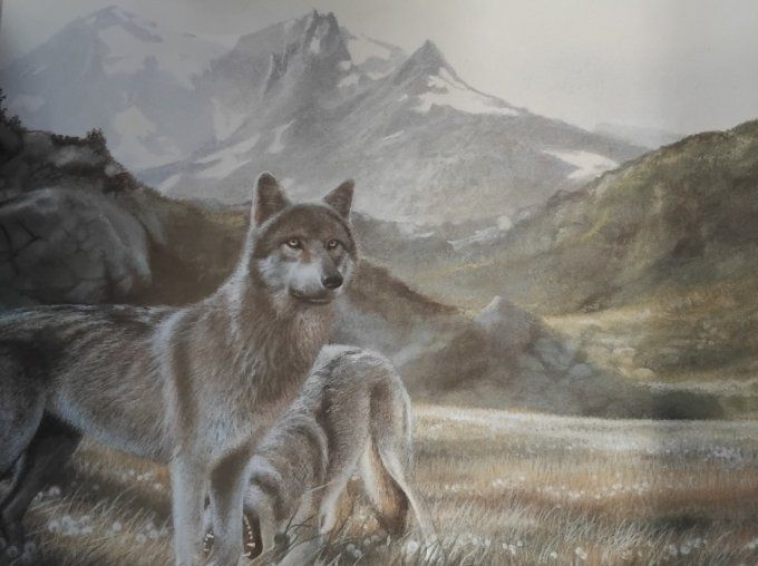 L'appel des loups