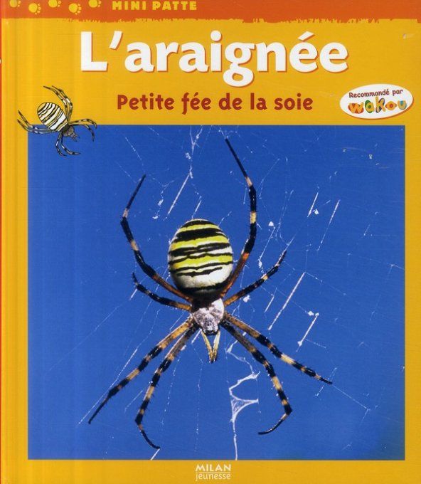 L'araignée petite fée de la soie