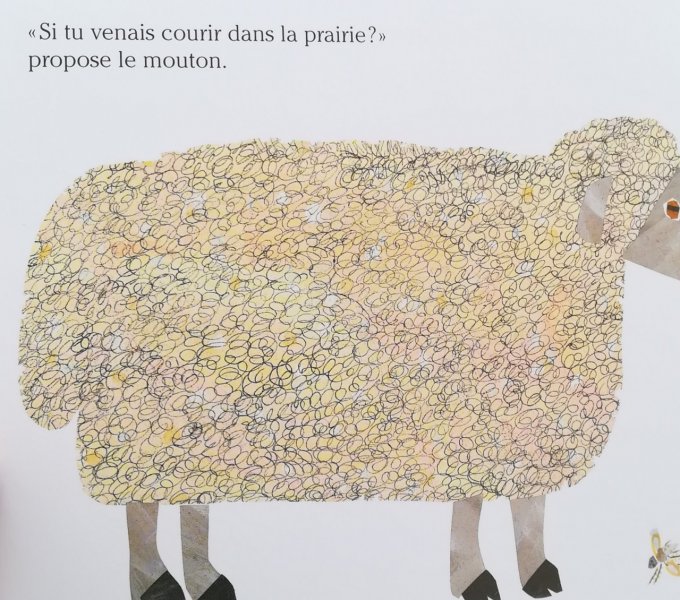 L'araignée qui ne perd pas son temps