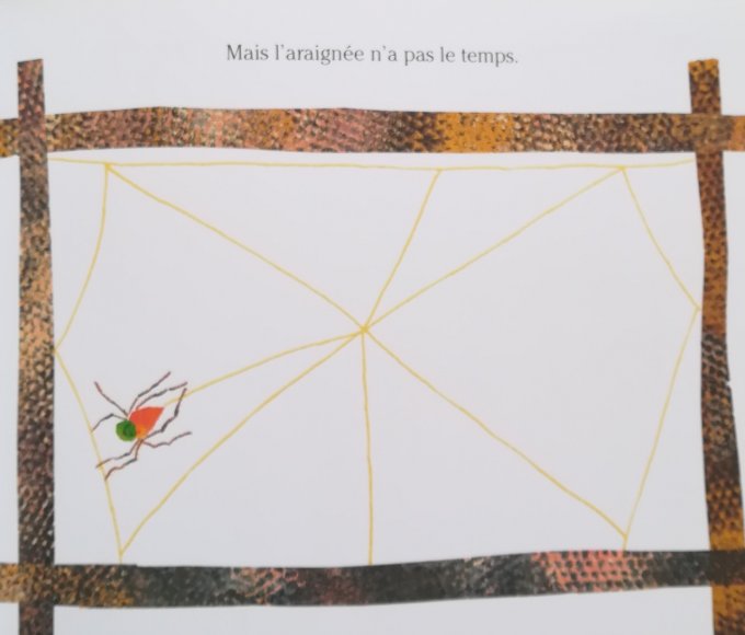 L'araignée qui ne perd pas son temps