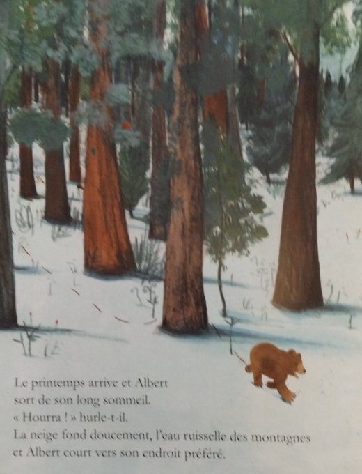L'arbre d'Albert