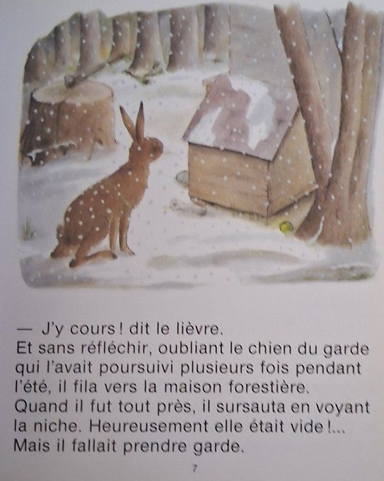 L'arbre de Noël du lièvre