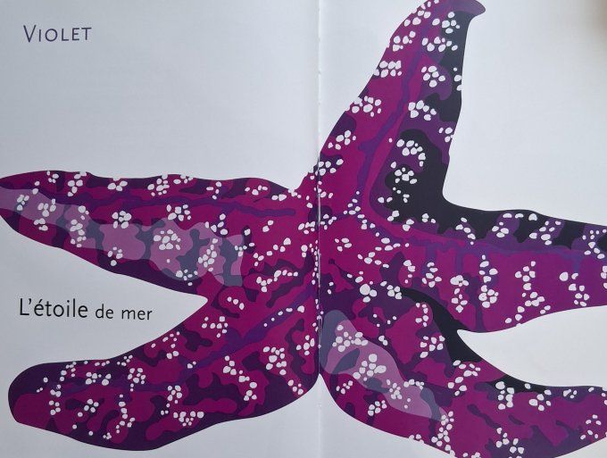 L'arc-en-ciel des animaux