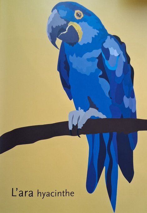 L'arc-en-ciel des animaux