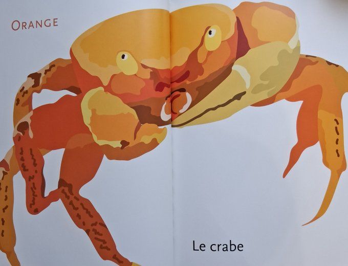 L'arc-en-ciel des animaux