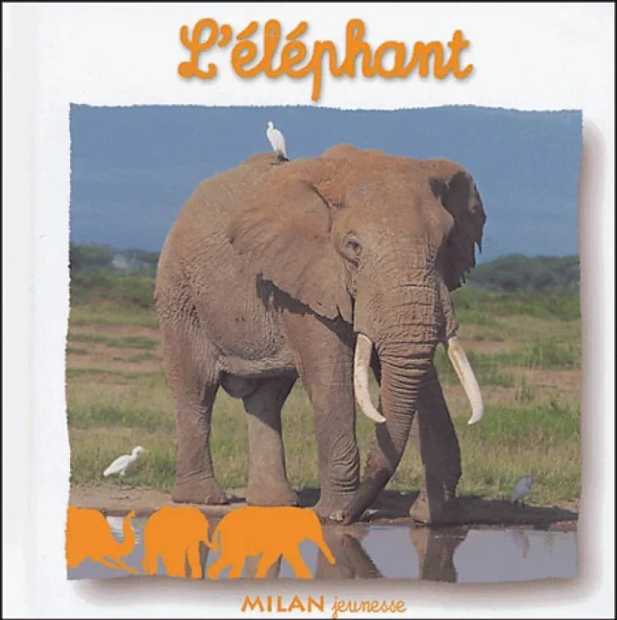 L'éléphant