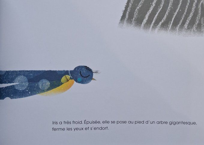 L'hirondelle qui voulait voir l'hiver