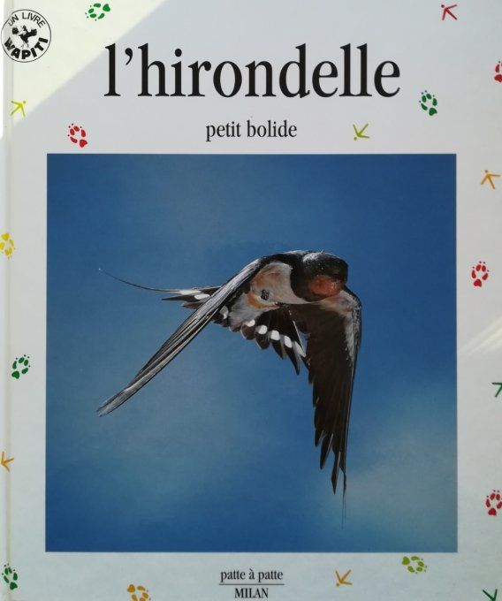 l'hirondelle, petit bolide