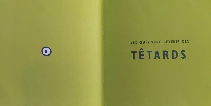 L'explosion du têtard