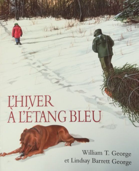 L'hiver à l'étang bleu