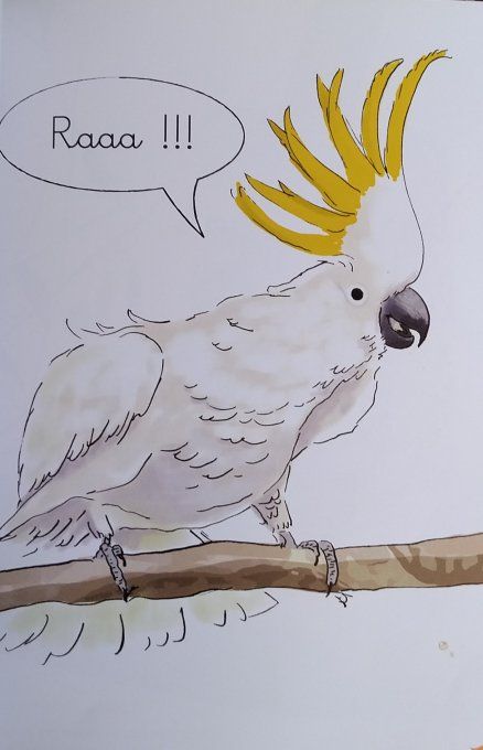 L'île du Koala, j'apprends à lire Montessori
