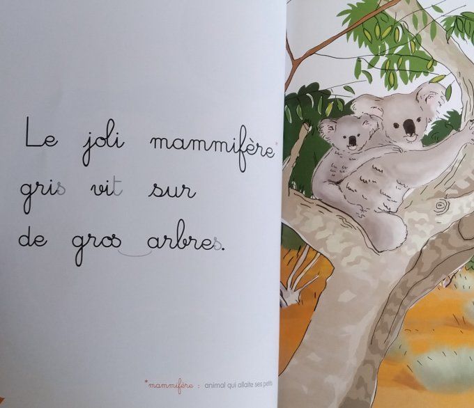 L'île du Koala, j'apprends à lire Montessori