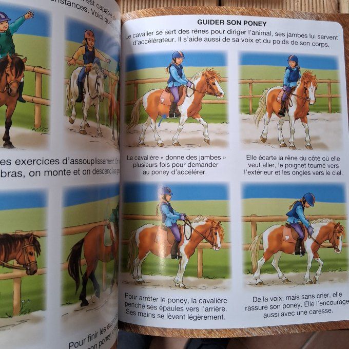 L'imagerie du cheval et du poney