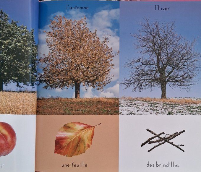 L'imagerie photos des saisons