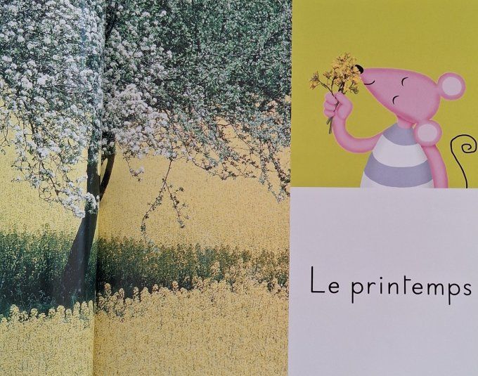 L'imagerie photos des saisons