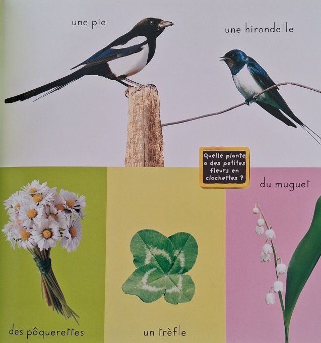 L'imagerie photos des saisons