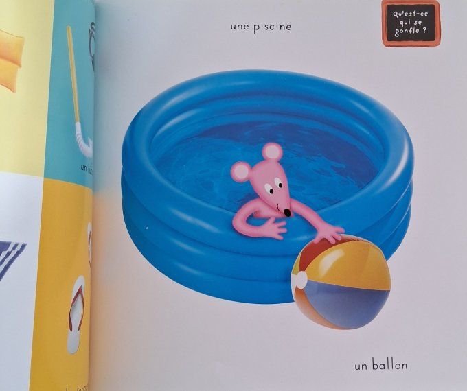 L'imagerie photos des saisons